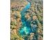 Breathtaking aerial view of a crystal-clear river winding through a lush, green forest landscape at 11305 Sw 186Th Cir, Dunnellon, FL 34432