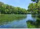 Scenic view of a clear river surrounded by lush greenery and trees creating a tranquil waterfront setting at 11305 Sw 186Th Cir, Dunnellon, FL 34432