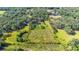 Aerial view of property showing boundary, home, outbuildings, and surrounding greenery at 1836 Cr 609B, Bushnell, FL 33513