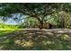 Expansive yard with mature trees, storage shed and covered structure for vehicles or equipment at 1836 Cr 609B, Bushnell, FL 33513