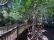Scenic boardwalk for enjoying a stroll through lush greenery at 13415 Blue Heron Beach Dr # 1006, Orlando, FL 32821
