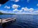 Private dock with swim ladder extends into the tranquil, expansive lake at 13415 Blue Heron Beach Dr # 1006, Orlando, FL 32821