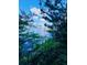 Picturesque lake view framed by lush vegetation, offering a tranquil and natural setting at 13415 Blue Heron Beach Dr # 1006, Orlando, FL 32821