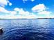 Panoramic lake view showcases calm waters under a sky filled with fluffy clouds at 13415 Blue Heron Beach Dr # 1006, Orlando, FL 32821