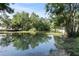 Picturesque pond surrounded by lush greenery and trees at 7165 Cr 655, Bushnell, FL 33513