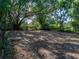 Large backyard with mature trees, a serene and private outdoor space at 1205 Crestwood Dr, Winter Haven, FL 33881