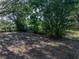 Leafy backyard with mature trees creates a private outdoor space at 1205 Crestwood Dr, Winter Haven, FL 33881