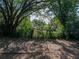 A view of the backyard of a home with mature landscaping offering ample shade at 1205 Crestwood Dr, Winter Haven, FL 33881