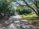 Charming street with lush trees provides a serene entrance to the property at 19811 Lake Dorr Rd, Altoona, FL 32702