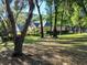 View of home from wooded and shaded expansive lawn at 19811 Lake Dorr Rd, Altoona, FL 32702