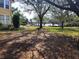 Spacious backyard with large trees at 800 W Lake Elbert Ne Dr, Winter Haven, FL 33881
