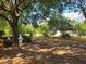 A view of the backyard trees at 800 W Lake Elbert Ne Dr, Winter Haven, FL 33881