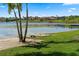 Scenic lakefront view with sandy beach, palm trees, and paddleboards ready for a day on the water at 5500 W Lake Butler Rd, Windermere, FL 34786