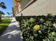 Building exterior features lush landscaping with flowering bushes, a sidewalk, and a view of the beach in the background at 2300 N Atlantic Ave # 1502, Daytona Beach, FL 32118
