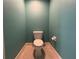 Toilet room with a white toilet and aqua walls at 2300 N Atlantic Ave # 1502, Daytona Beach, FL 32118