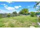 Spacious, fenced backyard with healthy lawn and tropical landscaping, great for outdoor activities and gardening at 830 Polk St, Orlando, FL 32805