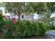 Landscaped home exterior with hedges, flowers, and driveway at 14563 Bahama Swallow Blvd, Winter Garden, FL 34787