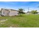A large grassy backyard with a beautiful tree at 1101 Dr Martin L King Jr Way, Haines City, FL 33844