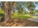 The grassy backyard features a mature tree providing shade, ideal for outdoor activities at 1123 Enchanted Dr, Lakeland, FL 33801
