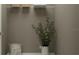 Simple walk-in closet featuring wire shelving, a large plant, and storage basket at 2155 Rider Rain Ln, Apopka, FL 32703