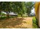 Large backyard with mature trees providing ample shade and privacy, perfect for entertaining at 2214 Deerbrook Dr, Lakeland, FL 33811