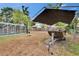 Large backyard featuring a screened pool area and boat on a trailer at 750 Azalea Dr, Bartow, FL 33830
