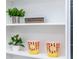 Charming shelves adorned with decorative plants and fun popcorn containers at 1820 N Merrick Dr, Deltona, FL 32738