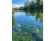 Crystal clear river waters at 20732 Sw Marine Blvd, Dunnellon, FL 34431