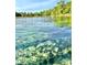Crystal clear spring waters at 20732 Sw Marine Blvd, Dunnellon, FL 34431