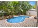 Beautiful backyard oasis featuring a private pool, waterfall feature, paver patio and mature landscaping at 25302 Lido Ave, Sorrento, FL 32776