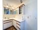 Bright bathroom features custom vanity with storage and mirrored cabinet at 2900 Cr 415, Lake Panasoffkee, FL 33538