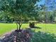 View of the expansive, well-kept backyard, featuring mature trees and lush lawn at 2528 Deerbrook Dr, Lakeland, FL 33811