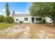 Charming single-story home featuring a tidy front yard, mature tree, and freshly painted exterior at 1002 Ne 1St St, Mulberry, FL 33860