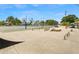 Community skate park featuring a variety of ramps, rails, and ledges for skaters at 1002 Ne 1St St, Mulberry, FL 33860