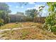 Large backyard with grass, weeds, patio, and fencing; a space with potential at 1852 E Fern Rd, Lakeland, FL 33801