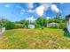 Expansive backyard featuring lush greenery and a storage shed, perfect for outdoor activities and storage at 211 W Crescent Dr, Lakeland, FL 33805