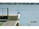 Scenic lake view featuring a bird perched on a wooden dock at 206 Samantha Ave, Auburndale, FL 33823