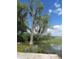 A tranquil lake view with trees and Spanish moss creates a serene outdoor living space at 206 Samantha Ave, Auburndale, FL 33823