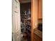 Walk-in pantry with wire shelving, offering ample storage space for food and kitchen items at 1895 Snapper Dr, Kissimmee, FL 34759