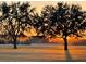 The sun sets behind these gorgeous, mature trees on this well-manicured property at 6726 Nw 54Th Loop, Ocala, FL 34482