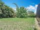 Lush backyard featuring mature trees and well-maintained grass at 2806 Spinning Silk Ct, Kissimmee, FL 34747
