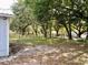 Large backyard with mature trees and partial fencing at 1310 Payne St, Auburndale, FL 33823