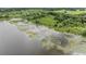 Waterfront property with aerial shot of lake covered with lilly pads and the lush greenery around it at 1611 County Road 753S, Webster, FL 33597