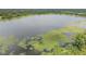 Scenic aerial view captures the tranquility of the lake with its surrounding lily pads and lush vegetation at 1611 County Road 753S, Webster, FL 33597