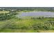 An aerial view of the verdant landscape, abundant with lush greenery, meets a tranquil lake at 1611 County Road 753S, Webster, FL 33597