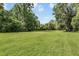 Expansive green land with mature trees, creating a peaceful and natural backdrop at 1611 County Road 753S, Webster, FL 33597