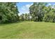 Lush green land with scattered mature trees offering a serene and private setting at 1611 County Road 753S, Webster, FL 33597