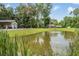 Scenic pond view with home and outbuildings in the background with lush vegetation at 1611 County Road 753S, Webster, FL 33597