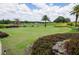 Scenic golf course view with manicured greens, palm trees and blooming bushes at 1430 Reunion Blvd, Reunion, FL 34747