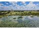 Scenic view of a lily pad covered pond with golf course and resort in the background at 1430 Reunion Blvd, Reunion, FL 34747
